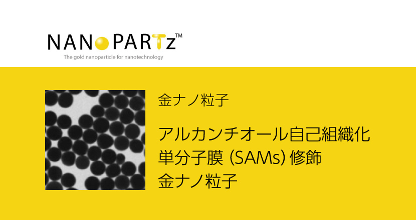 アルカンチオール自己組織化単分子膜(SAMs)修飾金ナノ粒子