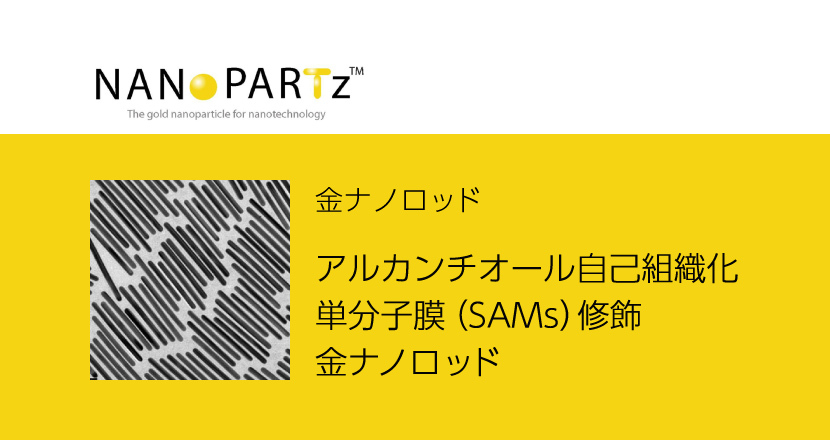 自己組織化によるナノマテリアルの創成と応用 Amazon.co.jp: 自己組織化によるナノマテリアルの創成と応用