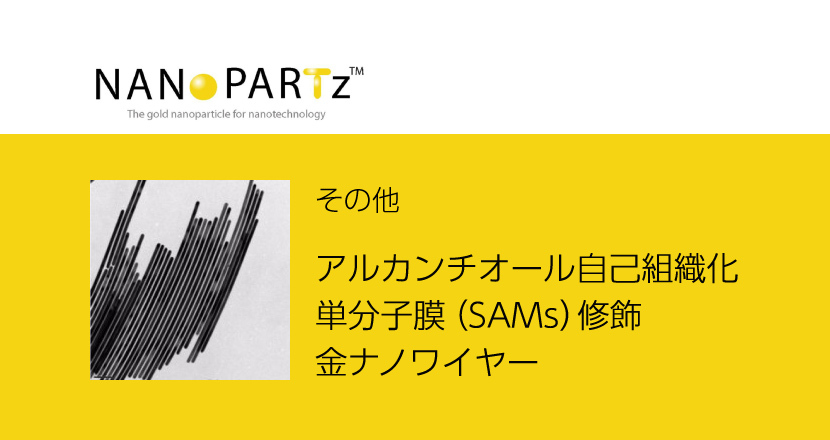自己組織化によるナノマテリアルの創成と応用 理研と北大，ナノ粒子を用いた自己組織化で規則的2次元パターン